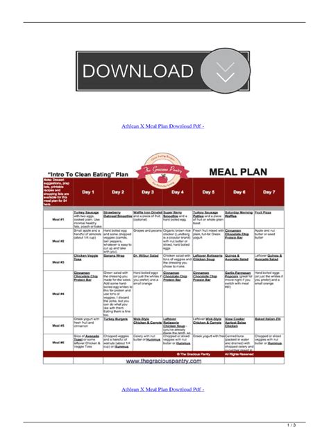 AX2 Meal Plan Rules. . Athlean x 90 day program pdf